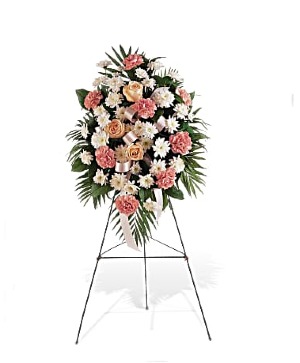 Gentle Thoughts Spray 