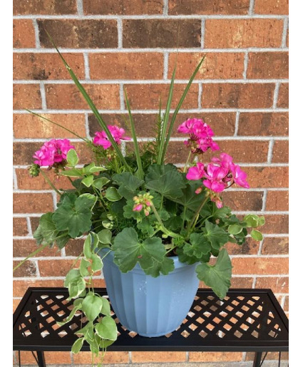 Geranium Combo Patio Pot