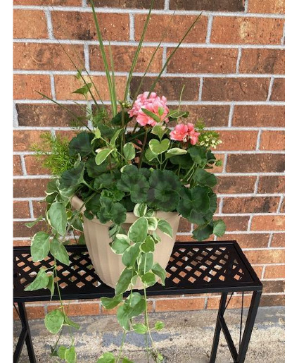 Geranium Combo Patio Pot