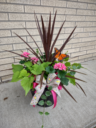 Porch Pot Blooming Outdoor Plant