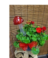 Geranium Plant with Mushroom 