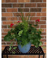 Geranium Combo Patio Pot 