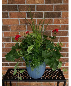 Geranium Combo Patio Pot 