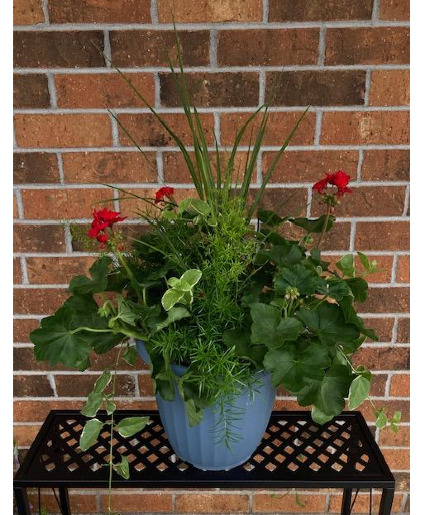 Geranium Combo Patio Pot