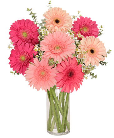 Gerb Appeal Bouquet in Newmarket, ON | FLOWERS 'N THINGS FLOWER & GIFT SHOP