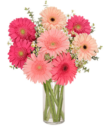 Gerb Appeal Bouquet in Cortland, NY | The Cortland Flower Shop