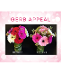 Gerb Appeal - Valentine Edition Valentine Collection