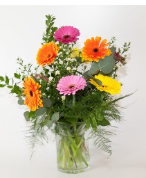 Gerbalious Mixed Gerberas