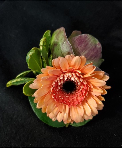 Gerber Boutonniere Boutonniere