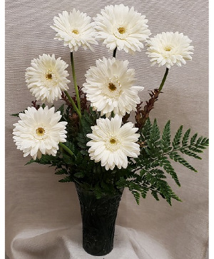 Gerber Daisies Bouquet