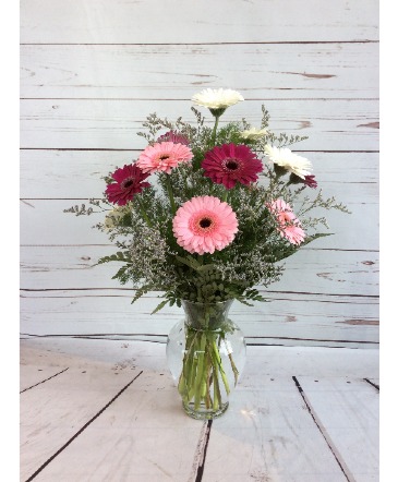 Gerber Daisy Arrangement in Culpeper, VA | ENDLESS CREATIONS FLOWERS AND GIFTS Gerber Daisy Arrangement in Culpeper, VA | ENDLESS CREATIONS FLOWERS AND GIFTS