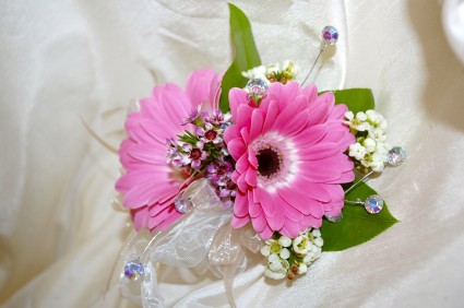 Gerber Daisy Corsage Available in many colors