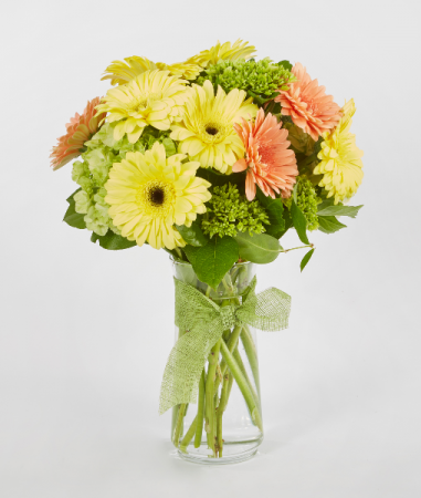 Gerber Floral Vase  Bouquet