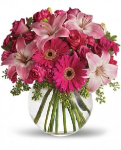 Gerber Magic Arrangement