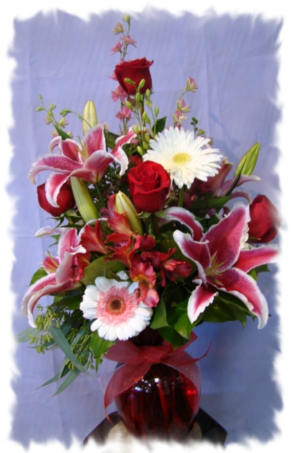 GERBER DAISY