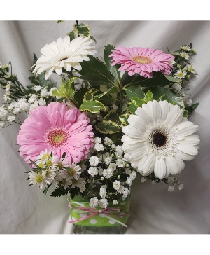 GERBERA BRIGHTS...4 gerbera daisies with filler COLORS OF GERBERAS MAY VARY DEPENDING ON STOCK