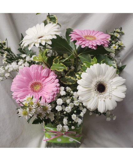 GERBERA BRIGHTS...4 gerbera daisies with filler COLORS OF GERBERAS MAY VARY DEPENDING ON STOCK