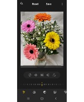 GERBERA BRIGHTS...4 gerbera daisies with filler COLORS OF GERBERAS MAY VARY DEPENDING ON STOCK