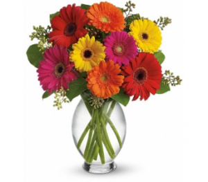 Gerbera Brights in Tottenham, ON | TOTTENHAM FLOWERS & GIFTS Gerbera Brights in Tottenham, ON | TOTTENHAM FLOWERS & GIFTS