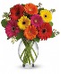 Purchase this funeral home arrangement
