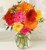 Purchase this funeral home arrangement