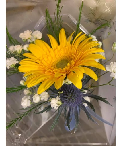 Gerbera Daisy Boutonierre PICKUP IN STORE ONLY