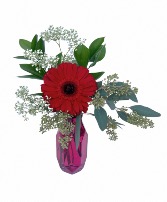 SOLD OUT Gerbera Daisy Bud Vase Valentine's Day
