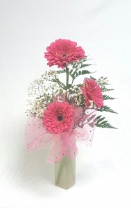 Gerbera Daisy Budvase