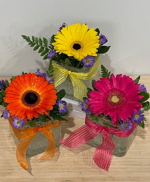 Gerbera Daisy  Cubes
