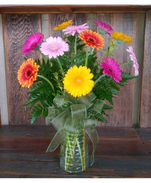 Gerbera Daisy Dozen 