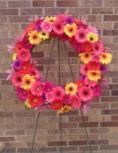 Gerbera Daisy Wreath - AWF10B Sympathy Arrangement