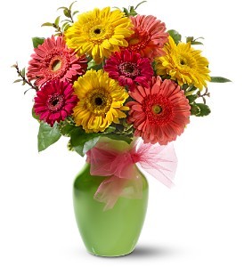 Gerbera Dazzle Floral Bouquet