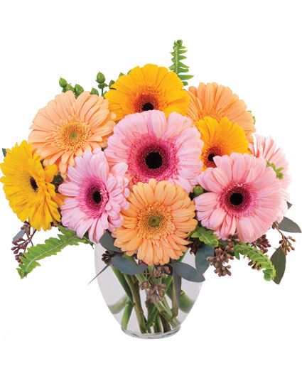 Gerbera Dreams Floral Design in Morinville, AB - THE FLOWER STOP & GIFT SHOP