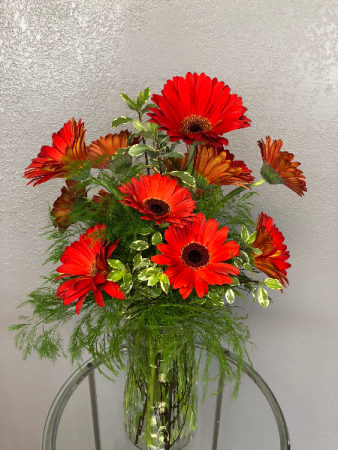 Gerbera Dreams Arrangement