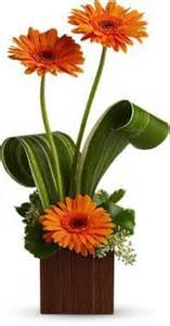 Gerbera Extravaganza Contemporary Fresh Arrangement