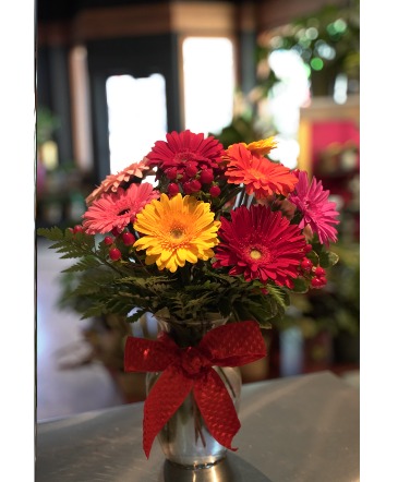 Gerbera Fling  Daisy Design  in South Milwaukee, WI | PARKWAY FLORAL INC.