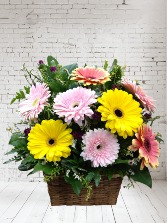 Gerbera Garden Flowers