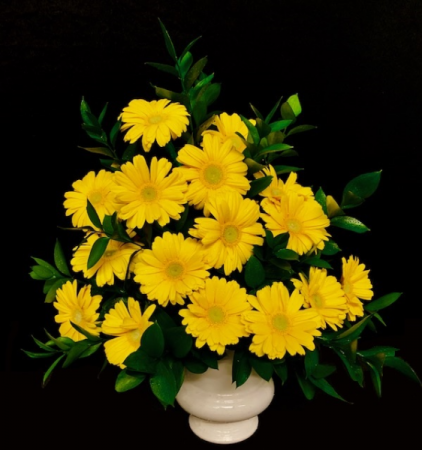 Gerbera Garden Sympathy Floral