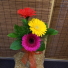 Gerbera Gift 