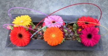 Gerbera Love Dish