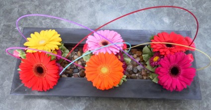 Gerbera Love Dish