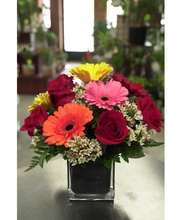 Gerbera & Roses  Black Cube  in South Milwaukee, WI | PARKWAY FLORAL INC.