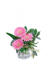 Gerbera Simplicity Flower Arrangement