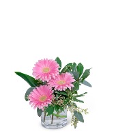 Gerbera Simplicity Flower Arrangement
