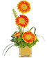 Gerbera Sunrise Floral Design