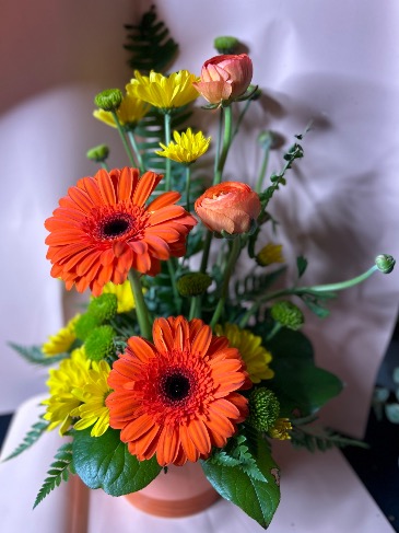 Gerbera sunshine Flower arrangement in Calgary, AB | SERENITY FLORALS