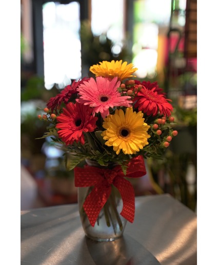 Gerberas & Get Wells Daisy Arrangement