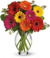 Gerbra's Bright mixed gerbera arrangement