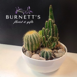 Desert Garden Planter