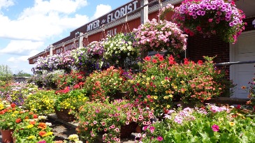 Get the Best of the Day, Let Us Chose for You!  in Milford, PA | The Greenhouses at Myer's